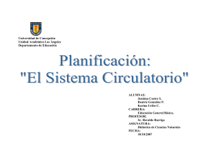 Sistems Circulatorio - Universidad de Concepción