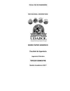 work paper generico Archivo - Virtual Udabol