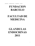 glándulas endócrinas