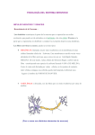 FISIOLOGÍA DEL SISTEMA NERVIOSO