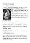 TEMA 1: EL MAPA FÍSICO DE LA TIERRA