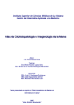 ANEXO 1. Guión Interactivo Atlas de Citohispatología