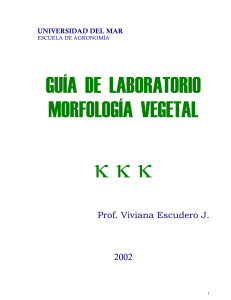 morfología vegetal - 2002