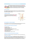 ¿Que Es La Prostata?