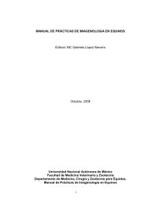 universidad nacional autonoma de mexico