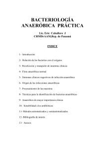 Bacteriologia Anaerobica practica