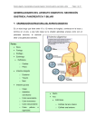 tema i: generalidades del aparato digestivo