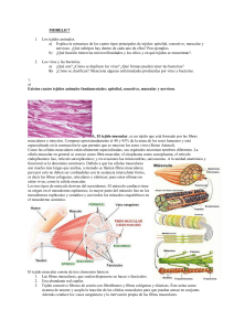 MODELO 7 Los tejidos animales. a) Explica la estructura de los
