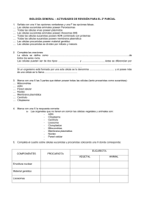 BIOLOGÍA GENERAL – ACTIVIDADES DE REVISIÓN PARA EL 2º