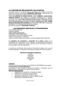 LA RELACIÓN ENTRE LAS PLANTAS File