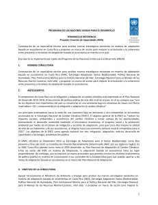 TORs - UNDP | Procurement Notices