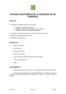 ESTUDIO ANATÓMICO DE LA ASADURA DE UN CORDERO