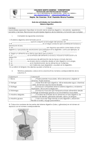 guia consolidadcion 5to, sistemas