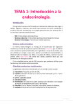 Endocrinlogía - Enfermeria21