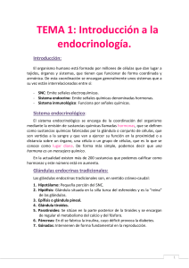 Endocrinlogía - Enfermeria21