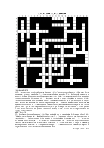 aparato circulatorio