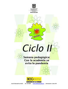 Gu&iacute;a Direcci&oacute;n de curso H1N1- Ciclo II