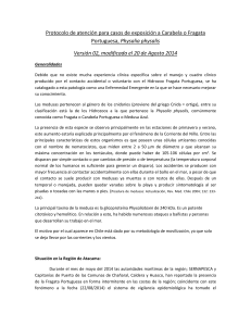 Protocolo Version 2.0 de atencion Carabela o Fragata Portuguesa