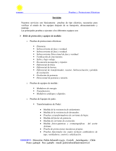Informe Verificación de Protecciones