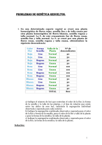 Descargar - Mi Apunte