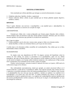 SISTEMA ENDOCRINO