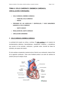 ciclo cardíaco - Laenfermeria.es