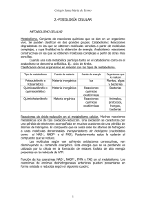 catabolismo - ColegioSMYBiologia