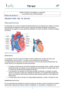 Apellido1_Apellido2_Nombre_CTI_B04_T4