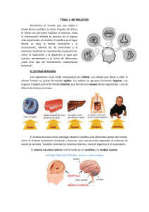 TEMA 1: INTERACCIÓN Percibimos el mundo que nos rodea a