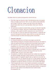 Se deben tomar en cuenta las siguientes características: En primer