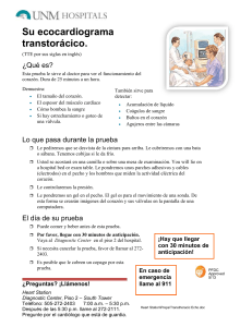 Su ecocardiograma transtorácico. (TTE por sus siglas en inglés
