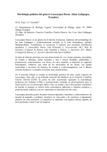 Morfolog&iacute;a pol&iacute;nica del g&eacute;nero Lecocarpus (Islas Gal&aacute;pagos