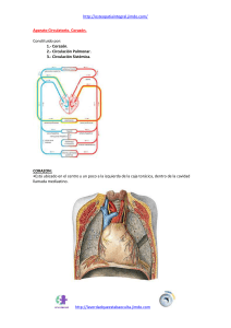Constituido por: 1.- Corazón. 2.