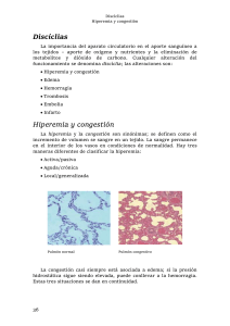 Discíclias - Seguim.com