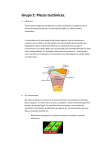 Grupo 2: Placas tect&oacute;nicas. &iquest;Qu&eacute; son? Son porciones r&iacute;gidas de