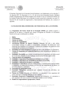 El Instituto Nacional de la Economía Social (Instituto), con