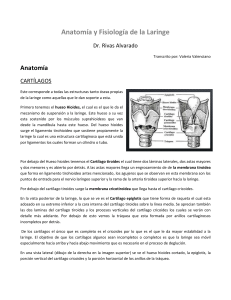 Anatomía y Fisiología de la Laringe Dr. Rivas Alvarado Transcrito