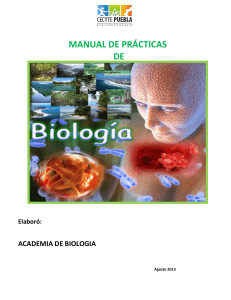 ¿qué gas se libera durante la fotosíntesis? 37