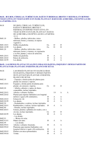 ra&iacute;ces plantas -"una c&eacute;lula" -familia -ser&iacute;a -descomposici&oacute;n