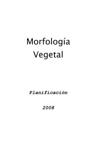 Morfología - FCA (UNL)