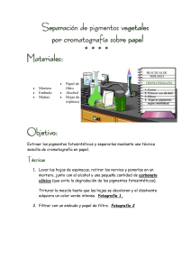 cromatografía de papel,espinacas