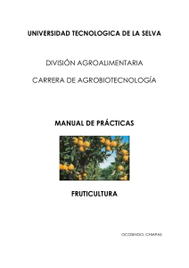 PRÁCTICA No. 3. - Universidad Tecnológica de la Selva