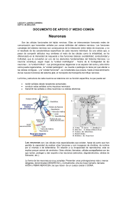Neuronas - Liceo Javiera Carrera