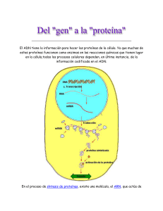 Transferencia de la información