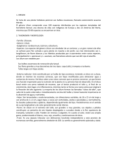 1. ORIGEN Se trata de una planta herbácea perenne con bulbos