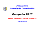 21/11/2009 Bases Campeonatos de Canarias 2010