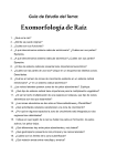 Guía de Estudio del Tema: Exomorfología de Tallo