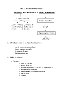 Aparato circulatorio