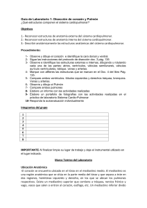 Guía de Laboratorio 1: Disección de corazón y Pulmón