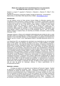 Efecto de la aplicación de 6